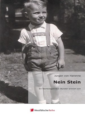 cover image of Nein Stein